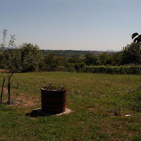 Ferienhaus Hartmann Hévíz Dış mekan fotoğraf